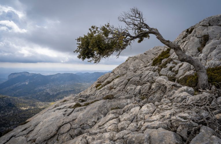 St. Paul: The Importance of Resilience in Overcoming Trauma