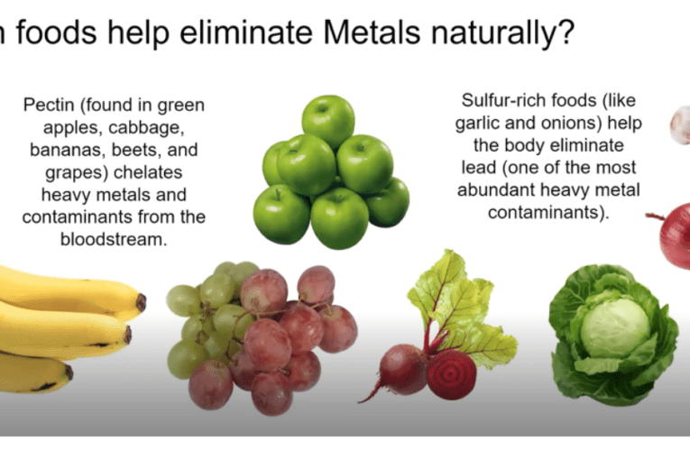Eliminate Heavy Metals Naturally in St. Paul