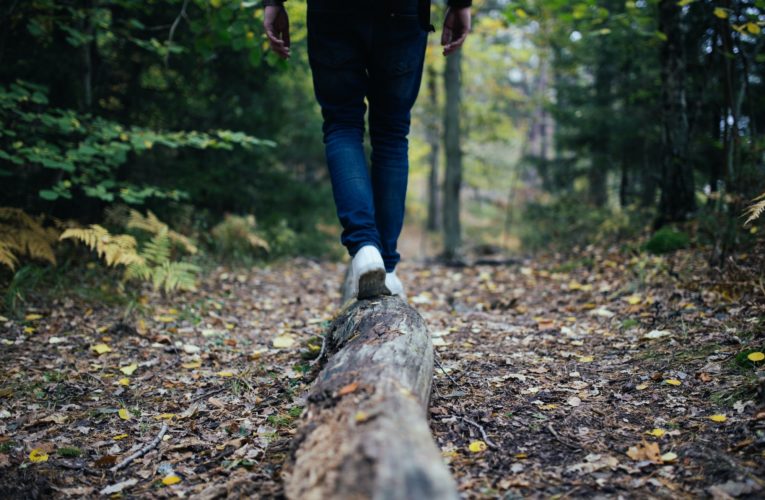Tips for Balancing your Hormones Naturally  in St. Paul
